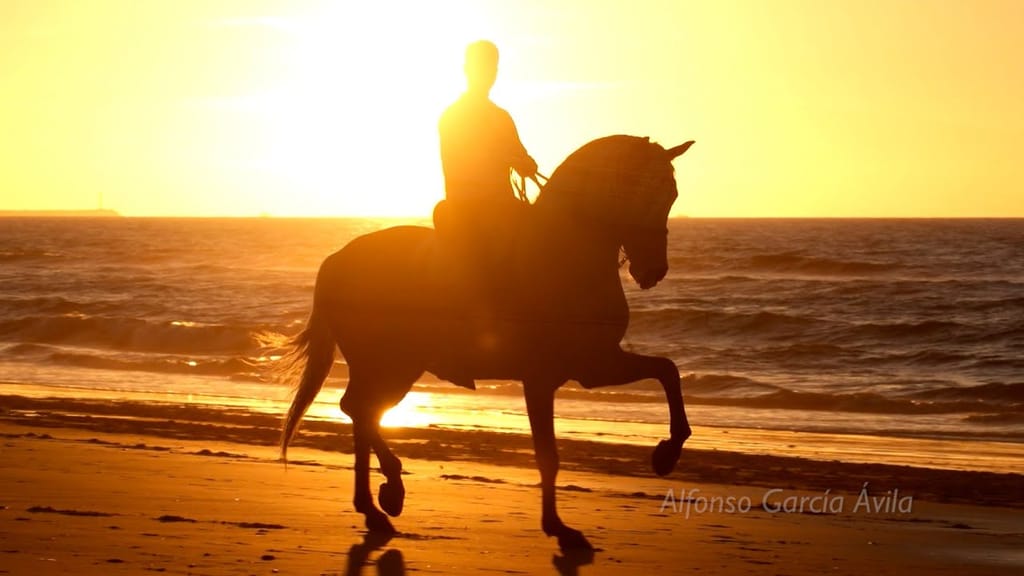 maxresdefault (1)8 maxresdefault (1)8