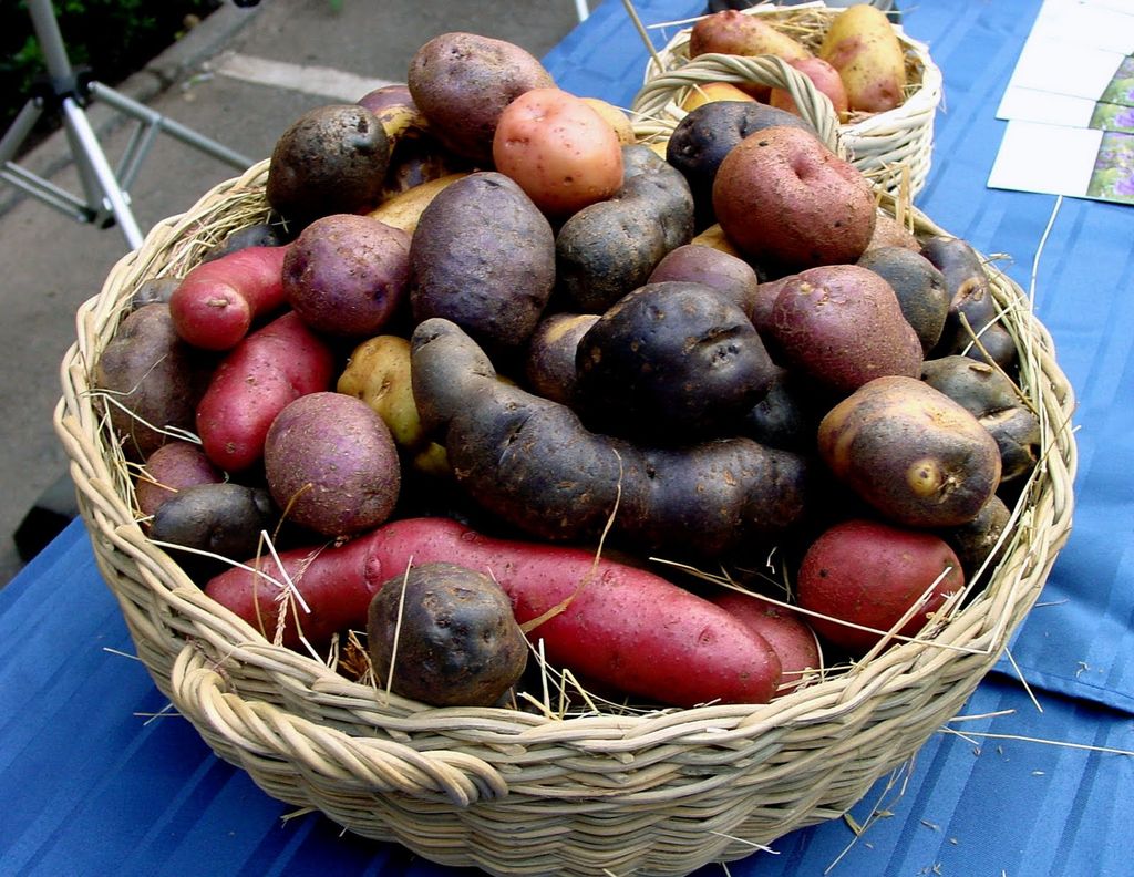 papas-chile papas-chile