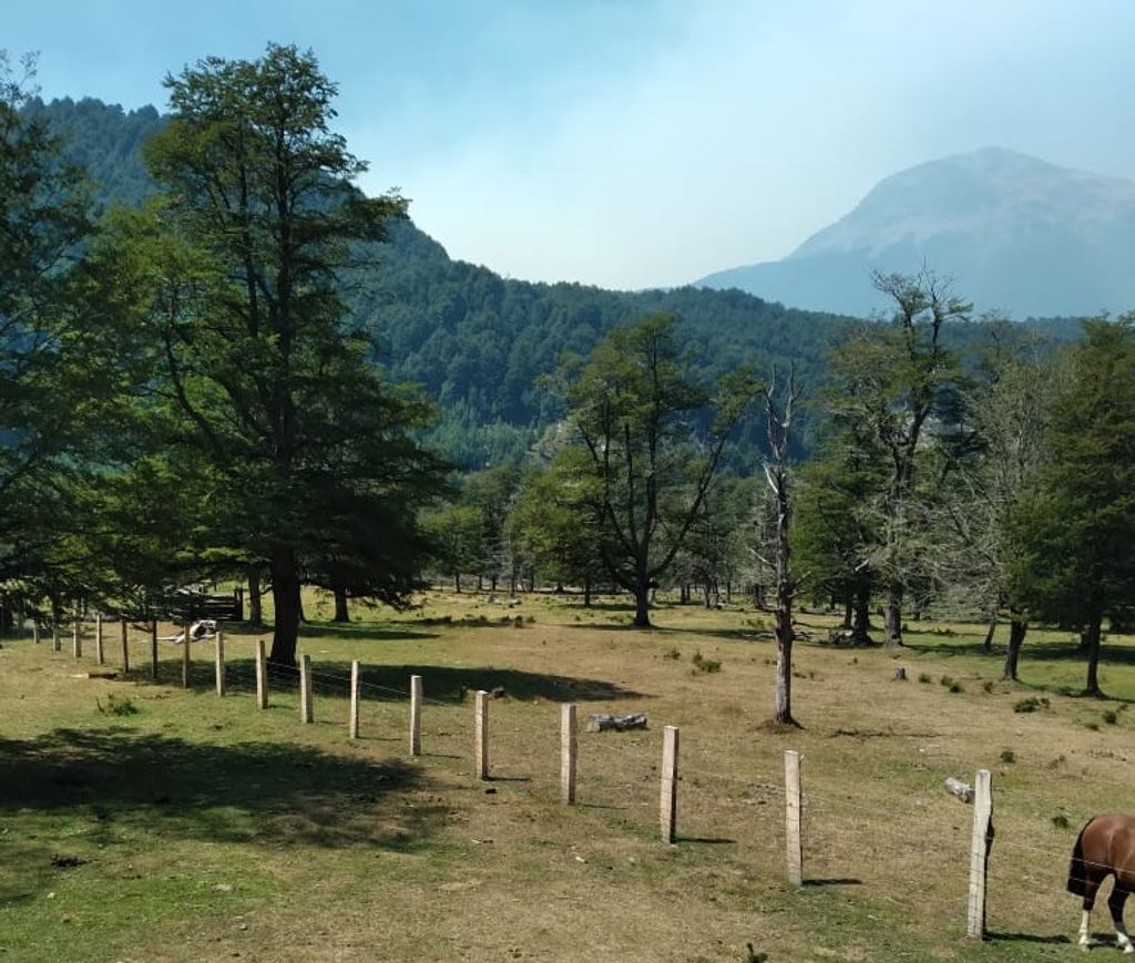 INCENDIO CCHAMO INCENDIO CCHAMO