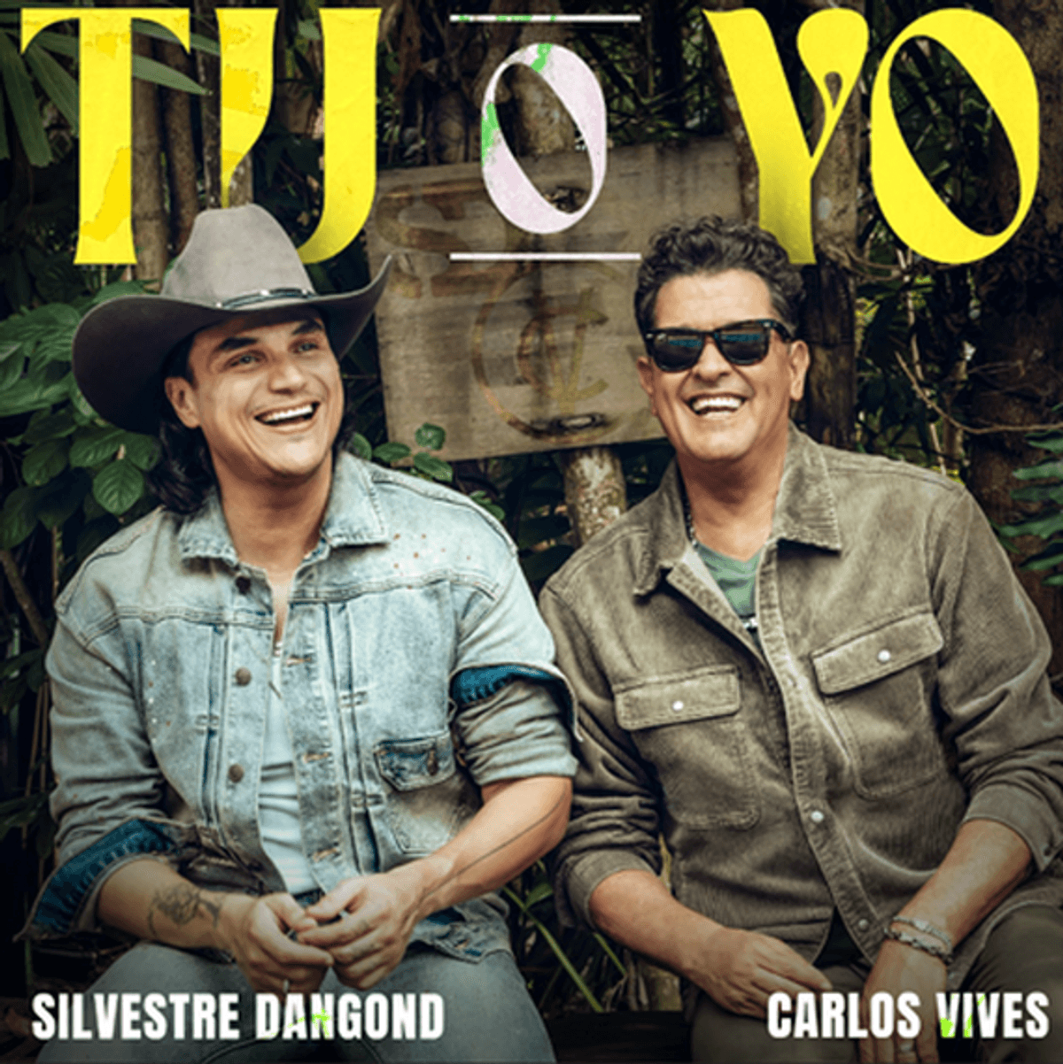 dangond vives dangond vives