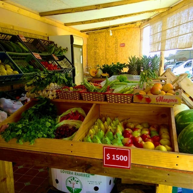 Ricas verduras en Coquimbo