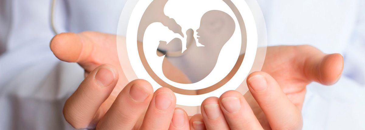 Educación sexual y reproductiva Educación sexual y reproductiva