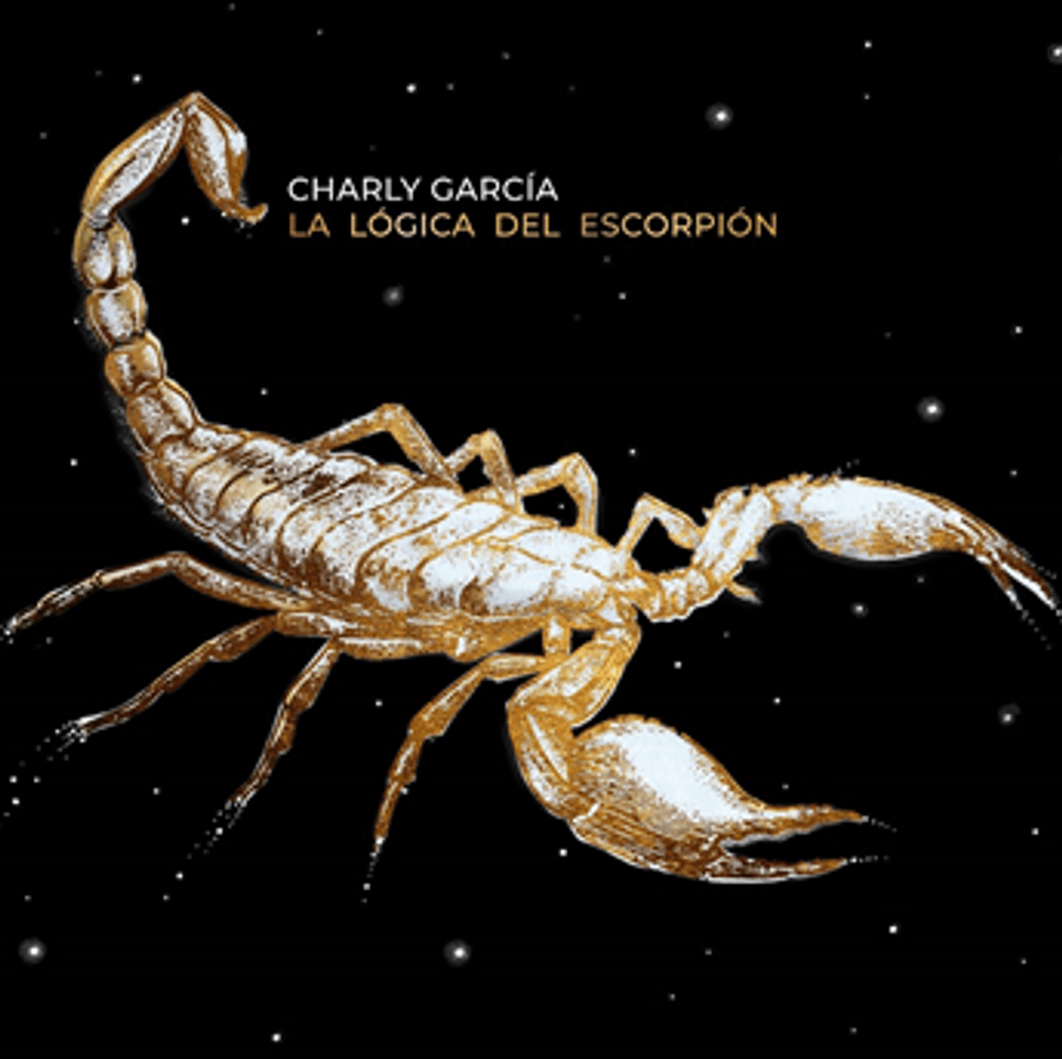 charly garcia charly garcia