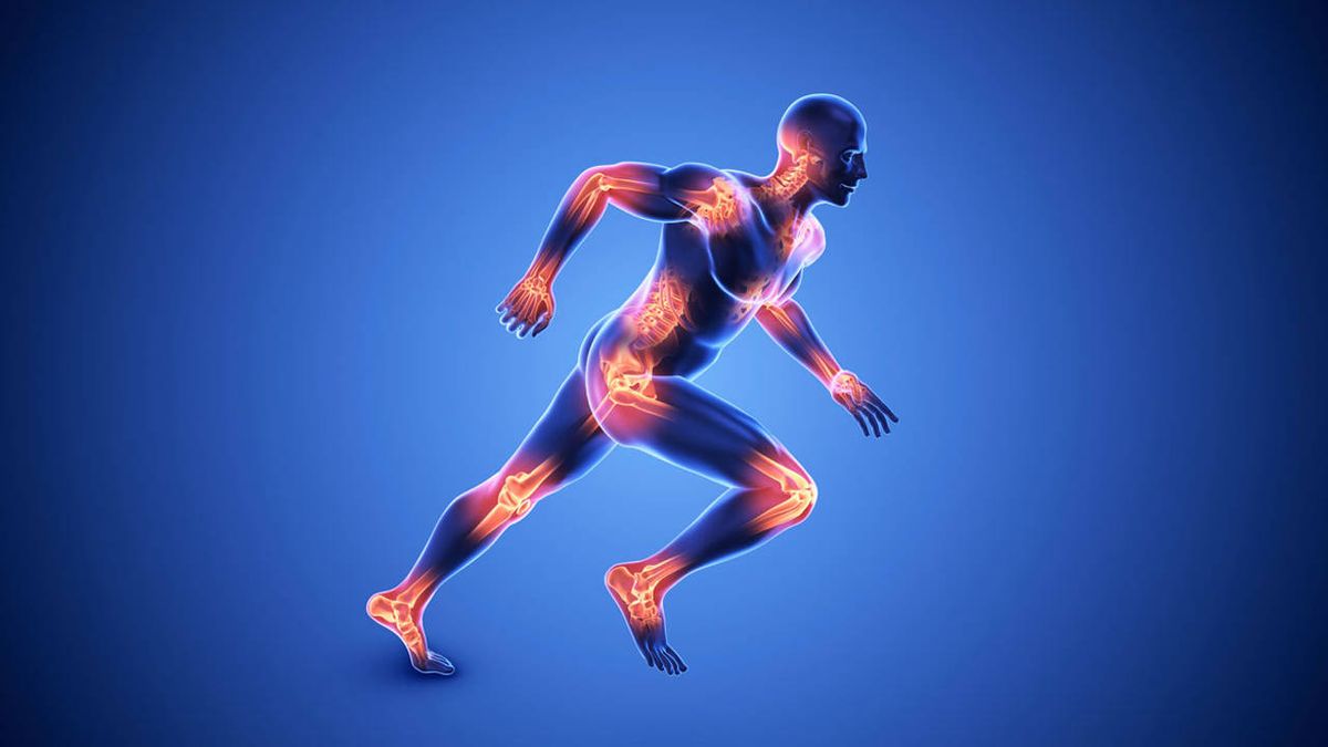 Células madres al rescate de las articulaciones Células madres al rescate de las articulaciones