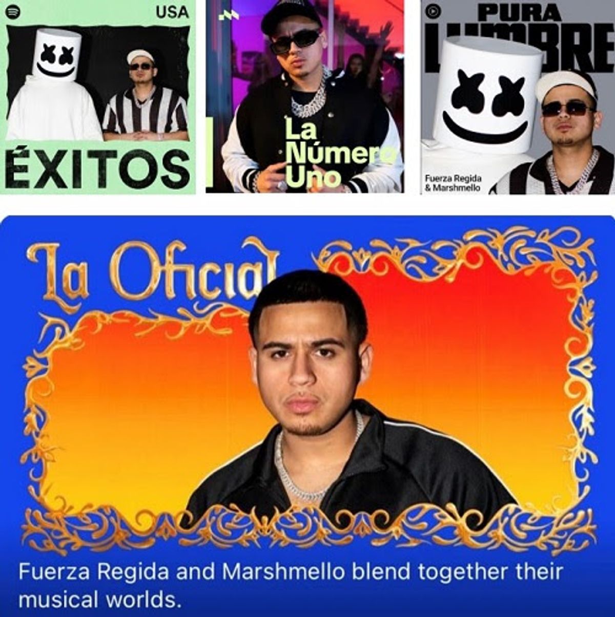 fuerza fuerza
