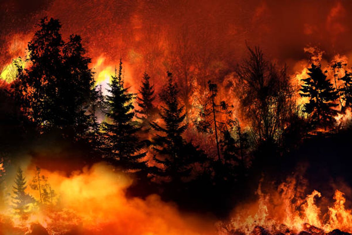 Los incendios son evitables Los incendios son evitables
