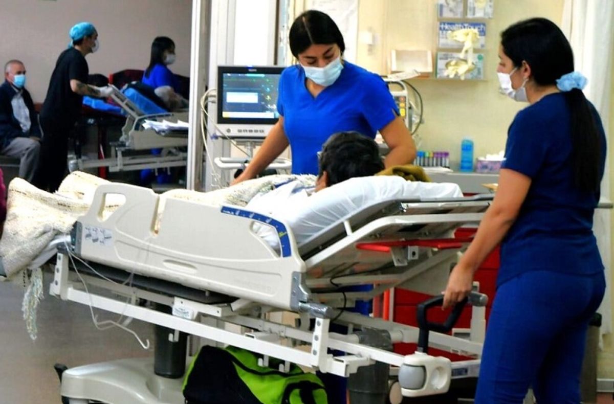 La bacteria asesina puede ser mortal si no se vacuna La bacteria asesina puede ser mortal si no se vacuna