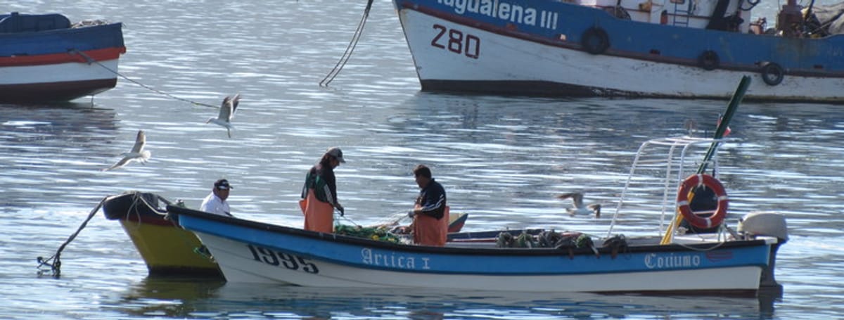 Cuidemos los océanos y la pesca artesanal Cuidemos los océanos y la pesca artesanal