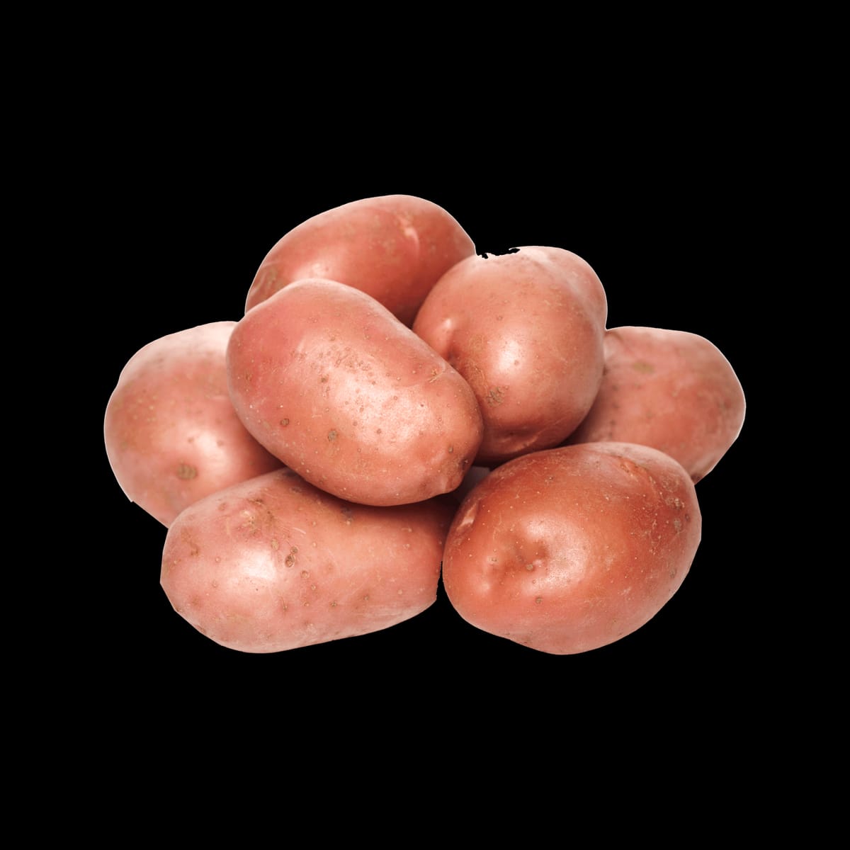Papas no dejan de subir precio en Chiloé Papas no dejan de subir precio en Chiloé