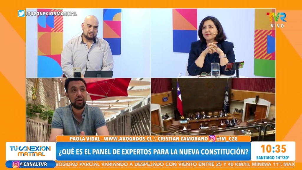 ¿Qué es el panel de expertos?