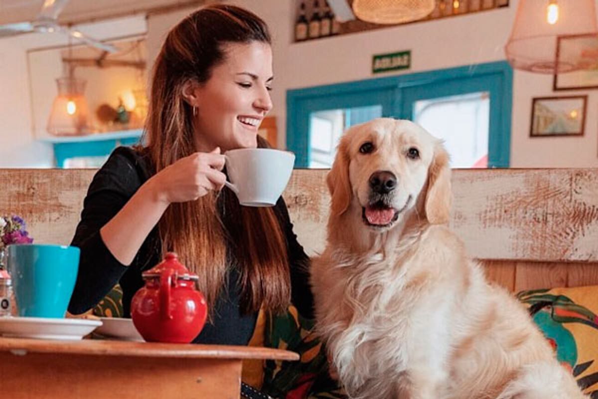 Una hermosa opción para tomar café al lado de tu perrito Una hermosa opción para tomar café al lado de tu perrito