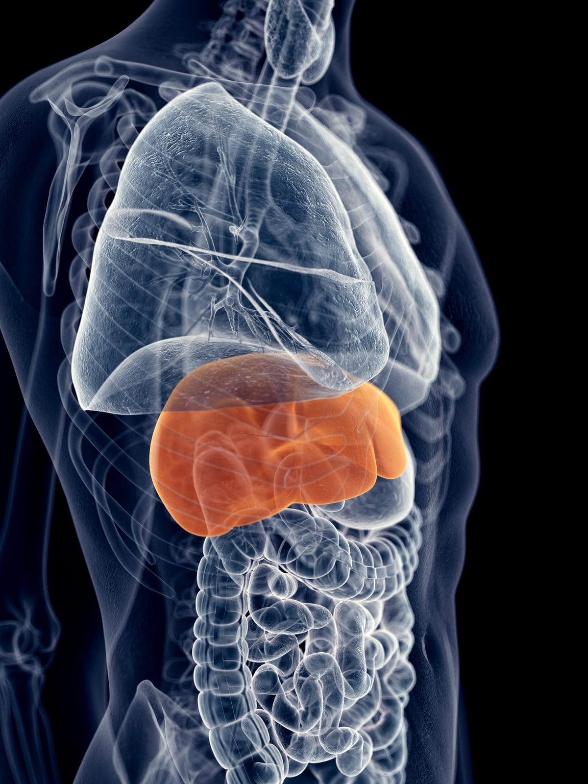 La hepatitis puede ser mortal La hepatitis puede ser mortal