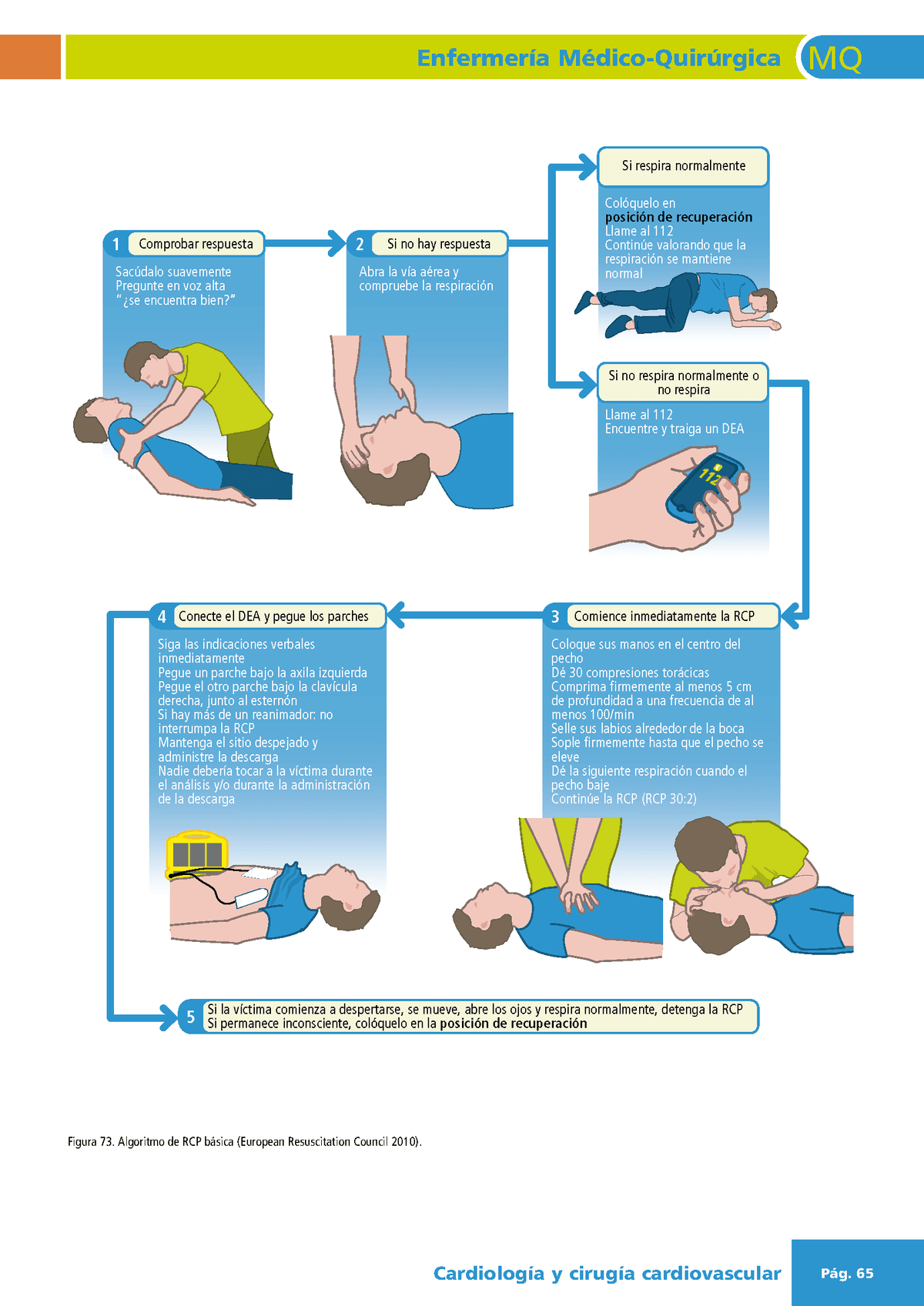 Aprendamos a salvar una vida con RCP