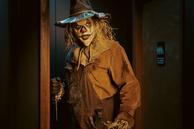 DIE_CED-D07-20230314-8 (1)