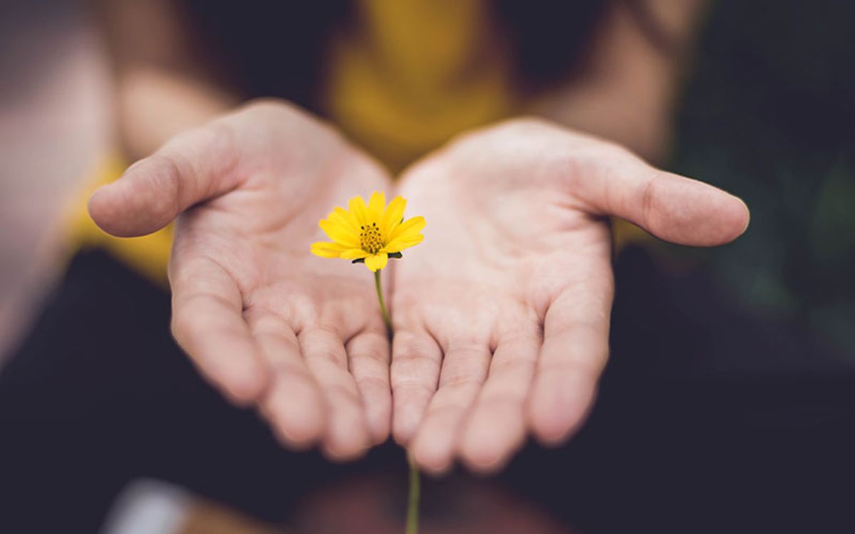 Gratitud, lo mejor de la vida Gratitud, lo mejor de la vida