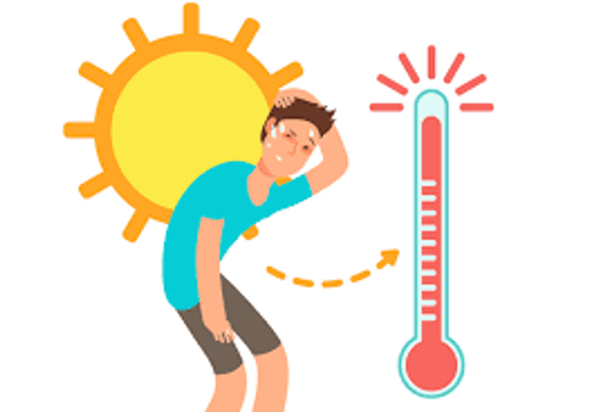 Ojo con las altas temperaturas Ojo con las altas temperaturas