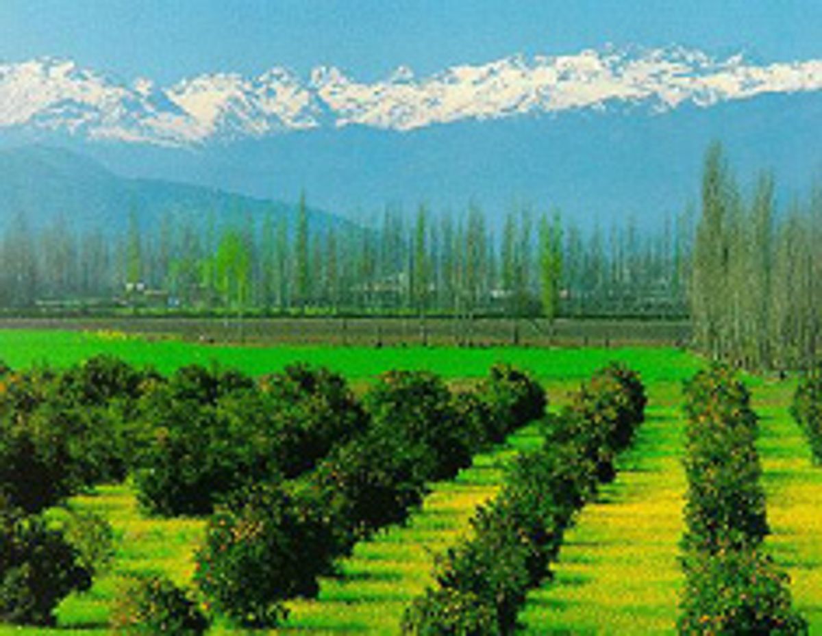 Región recomendada mundialmente Región recomendada mundialmente
