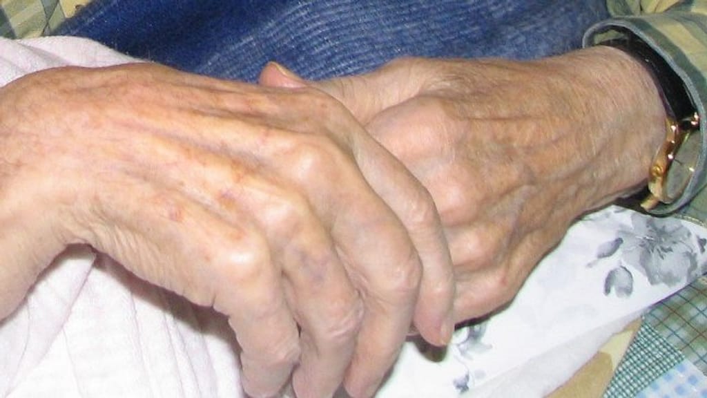 foto_0000001320230831125333 foto_0000001320230831125333