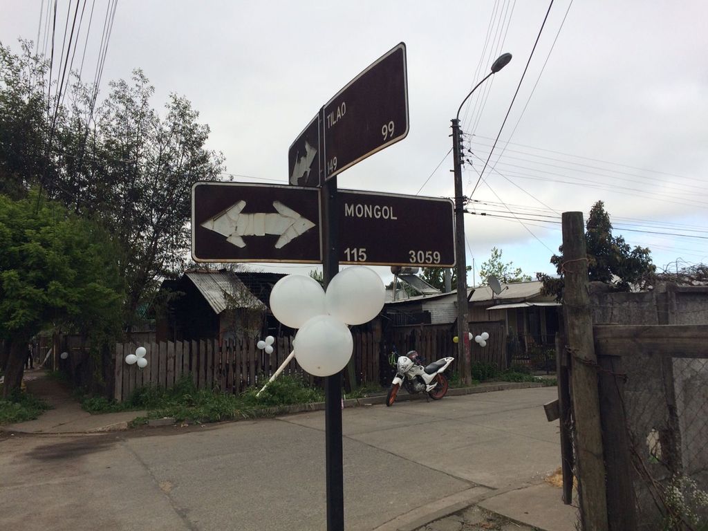 Foto Foto