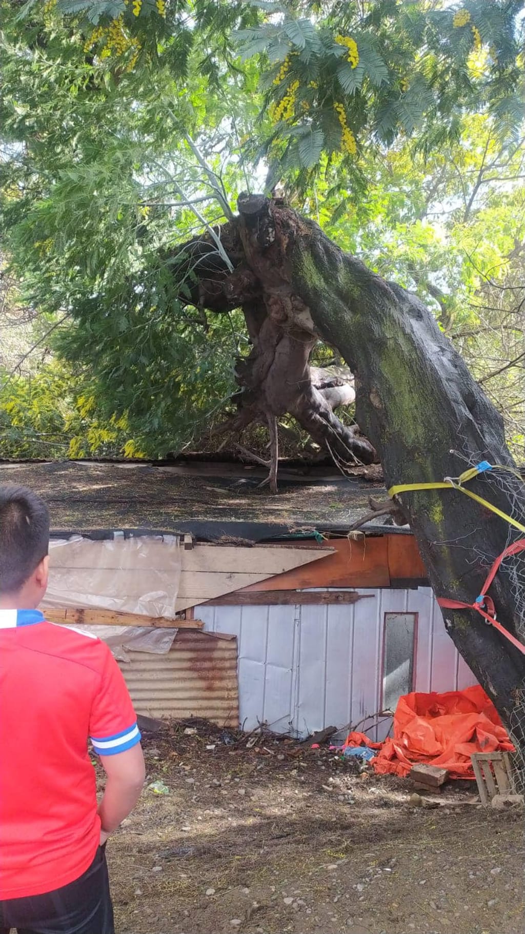 362695998_726767256126446_5641252377113257290_n 362695998_726767256126446_5641252377113257290_n