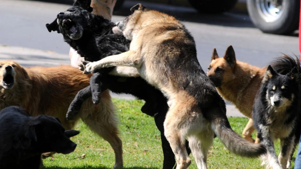 f1280x720-103729_235404_5050 f1280x720-103729_235404_5050