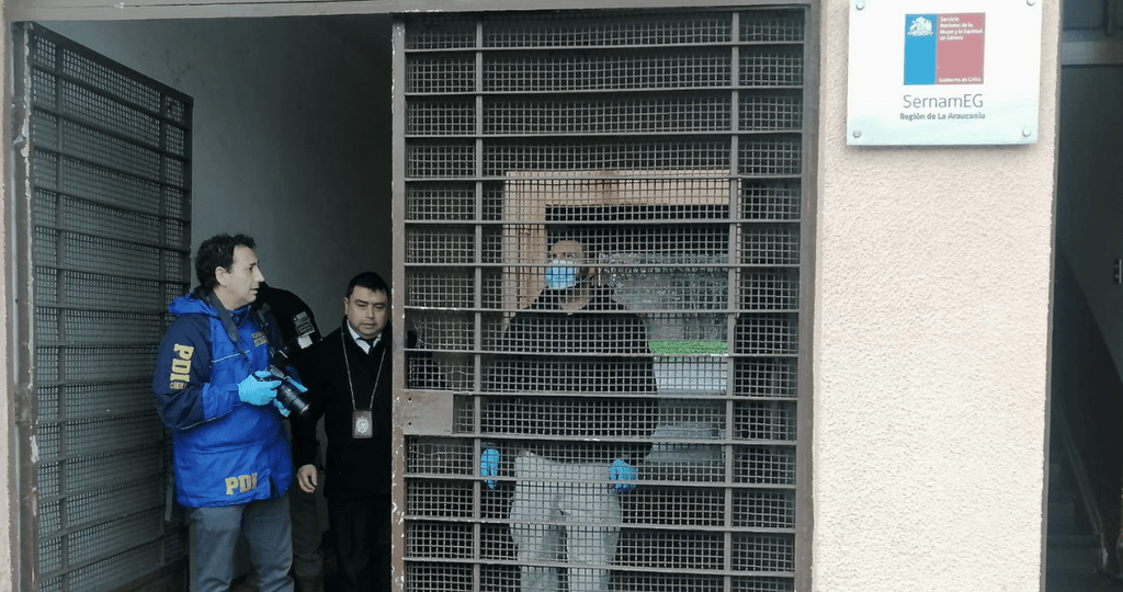 robo-sernameg-araucania-1 robo-sernameg-araucania-1