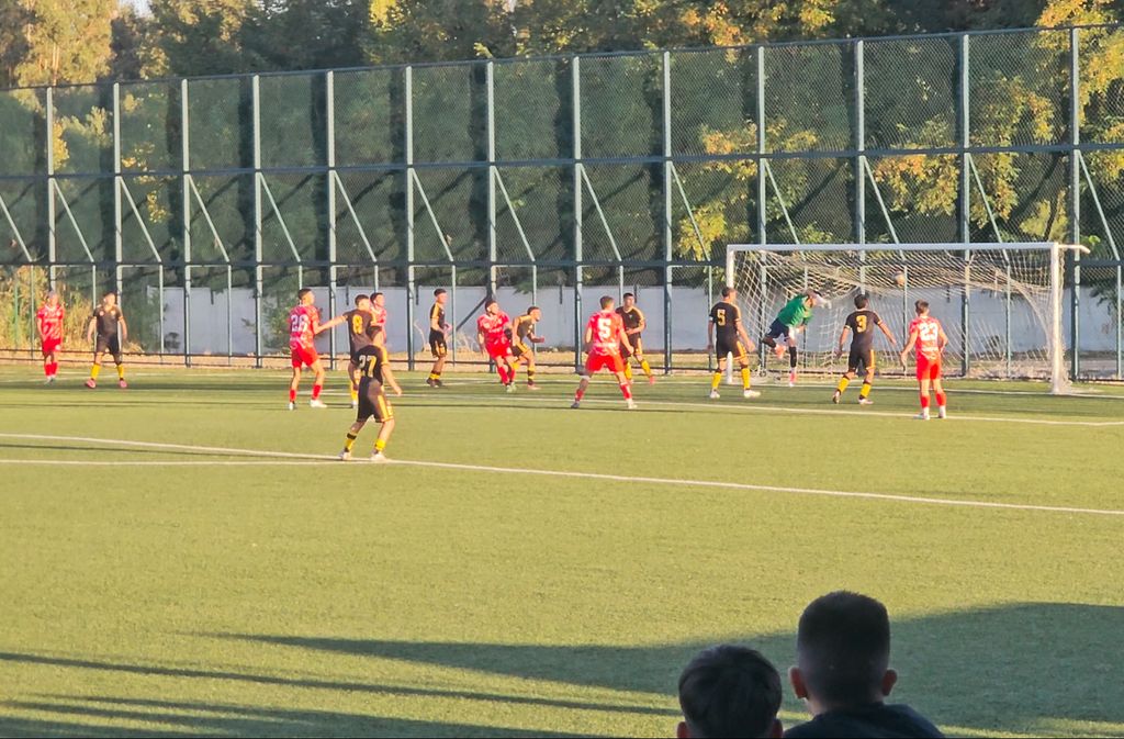 malleco-vial malleco-vial