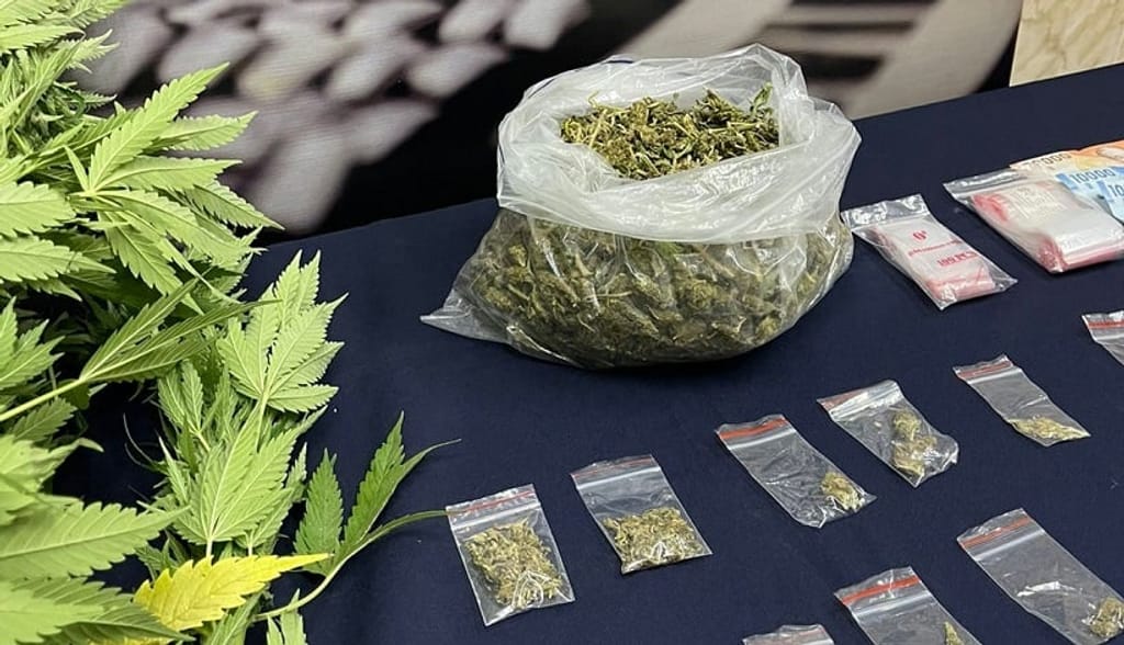 file_20220320094811 file_20220320094811