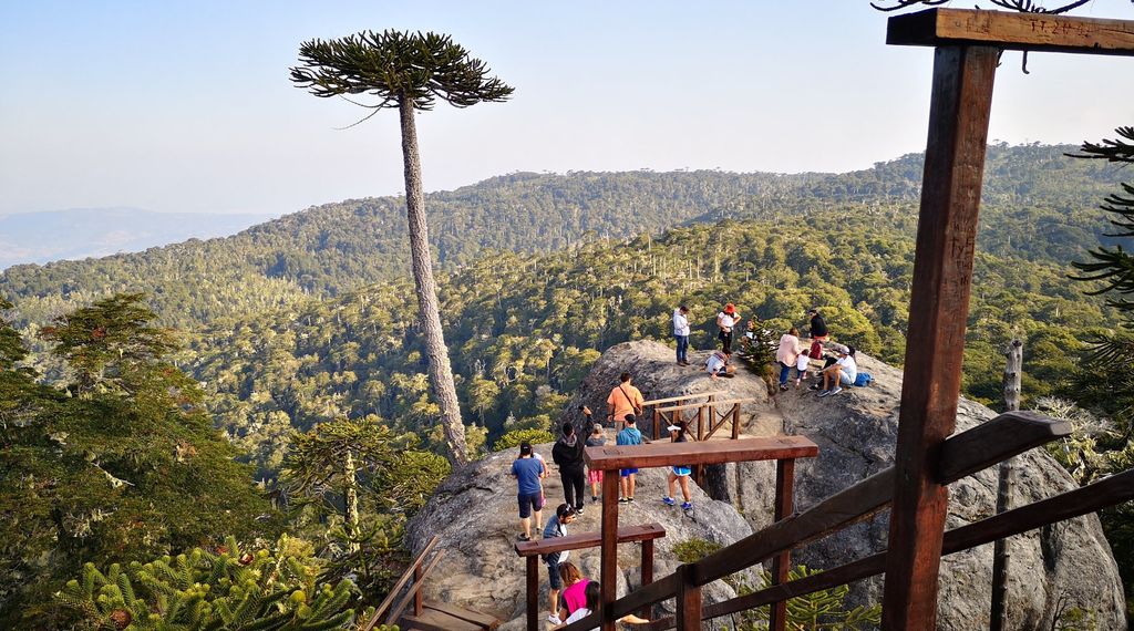 parquenahuelbuta parquenahuelbuta