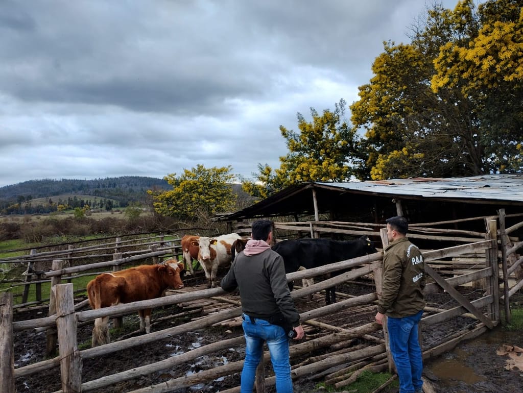 Carabineros Angol Carabineros Angol