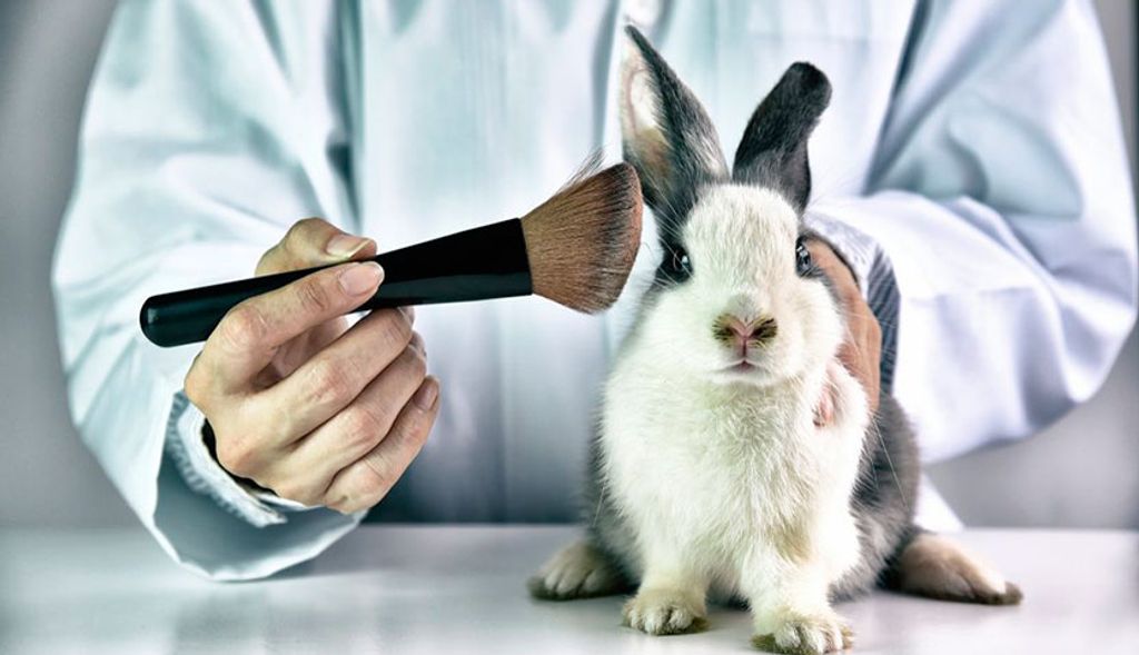 cruelty_free_testeo_animal cruelty_free_testeo_animal