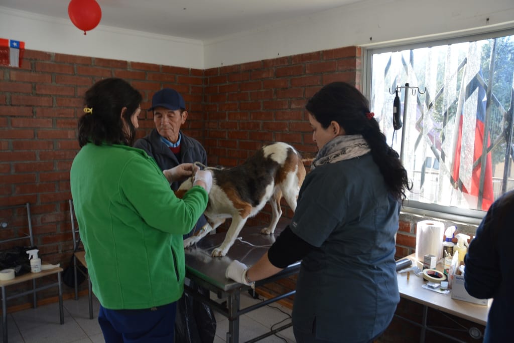 385010858_847842124010945_2036737429946383085_n 385010858_847842124010945_2036737429946383085_n