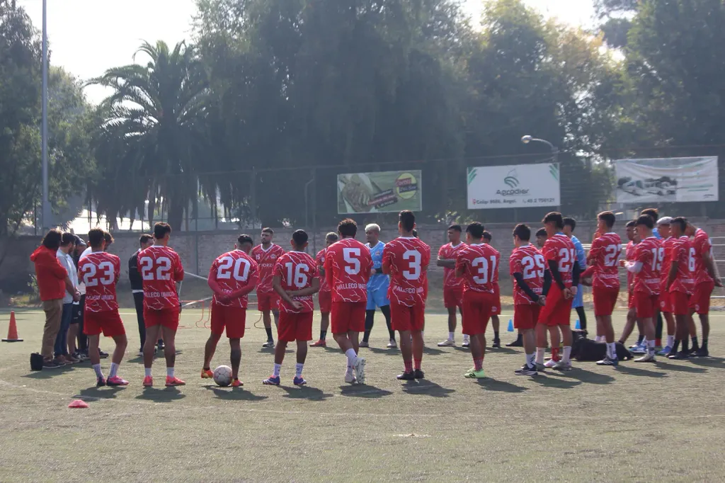 entrenamiento entrenamiento