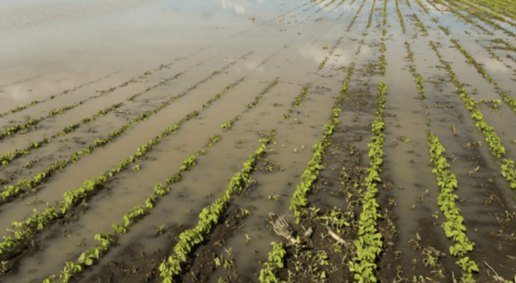 Captura-de-Pantalla-2023-09-22-a-las-10 Captura-de-Pantalla-2023-09-22-a-las-10