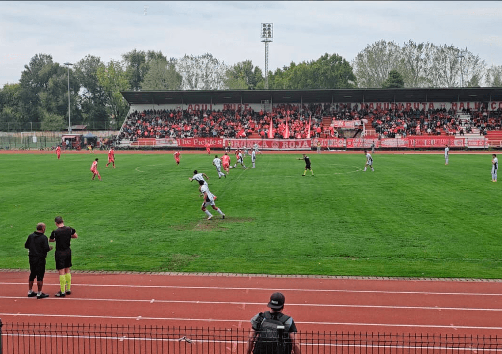 mallecocol mallecocol