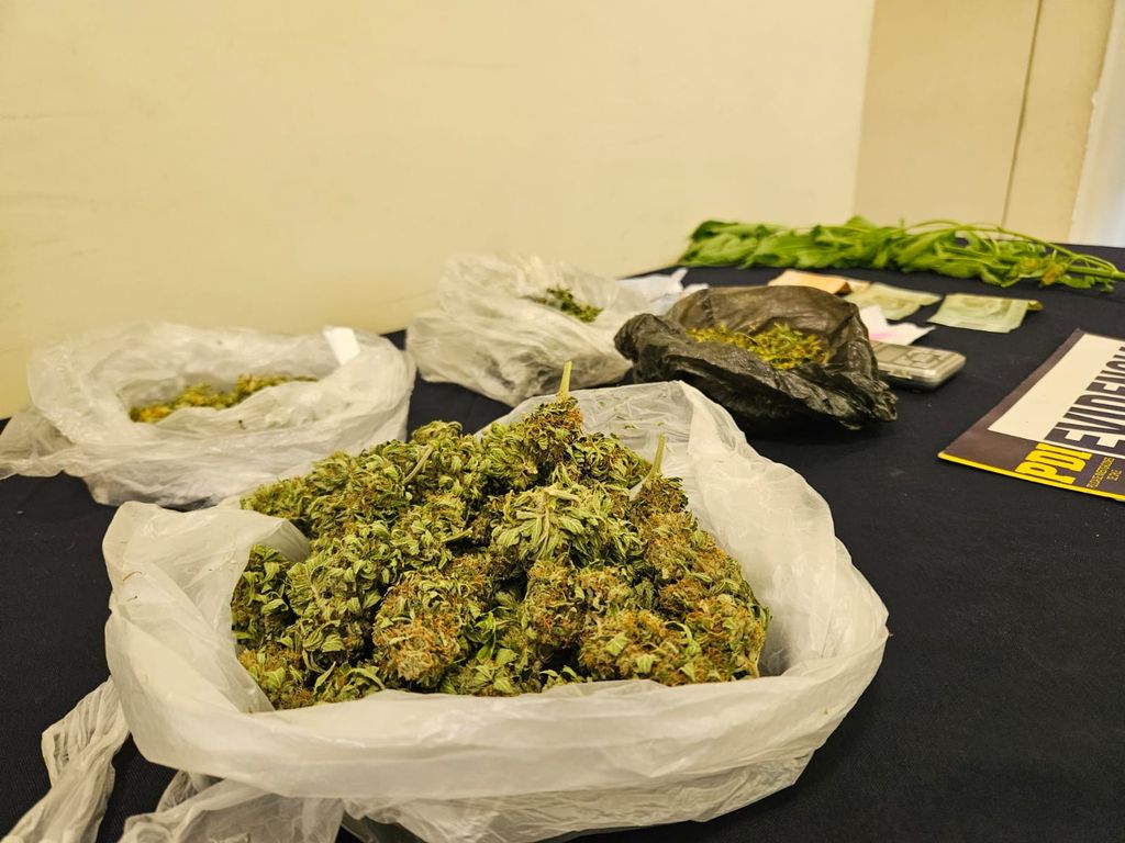 WhatsApp-Image-2025-02-27-at-16 WhatsApp-Image-2025-02-27-at-16