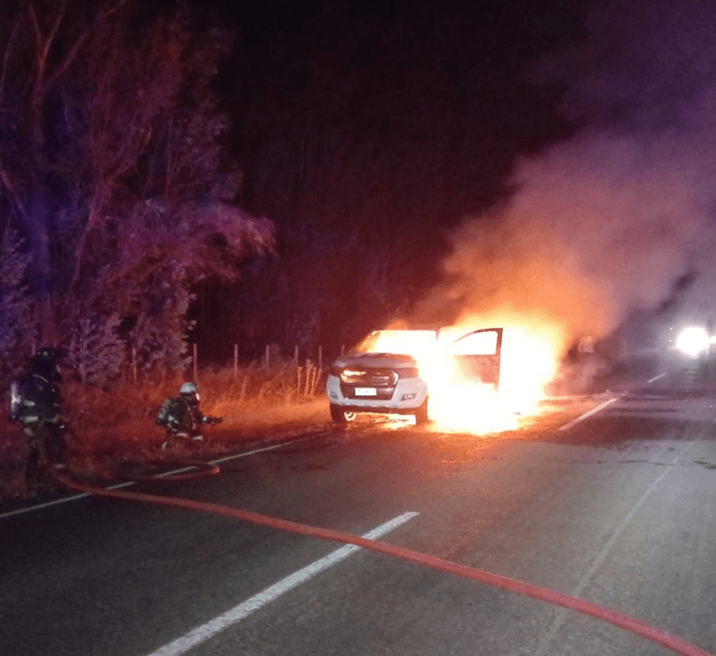 armas-v-alpo-3 armas-v-alpo-3