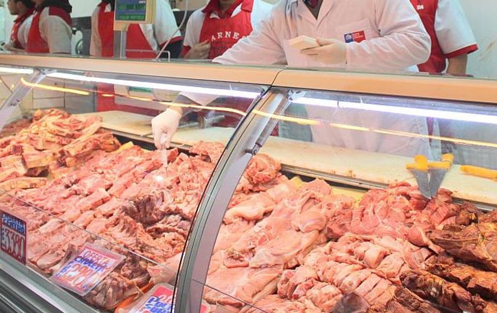 multimedia multimedia