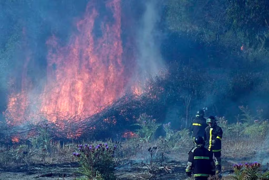 L2AW5LYPENF77LNPHYQQCHU6XU L2AW5LYPENF77LNPHYQQCHU6XU