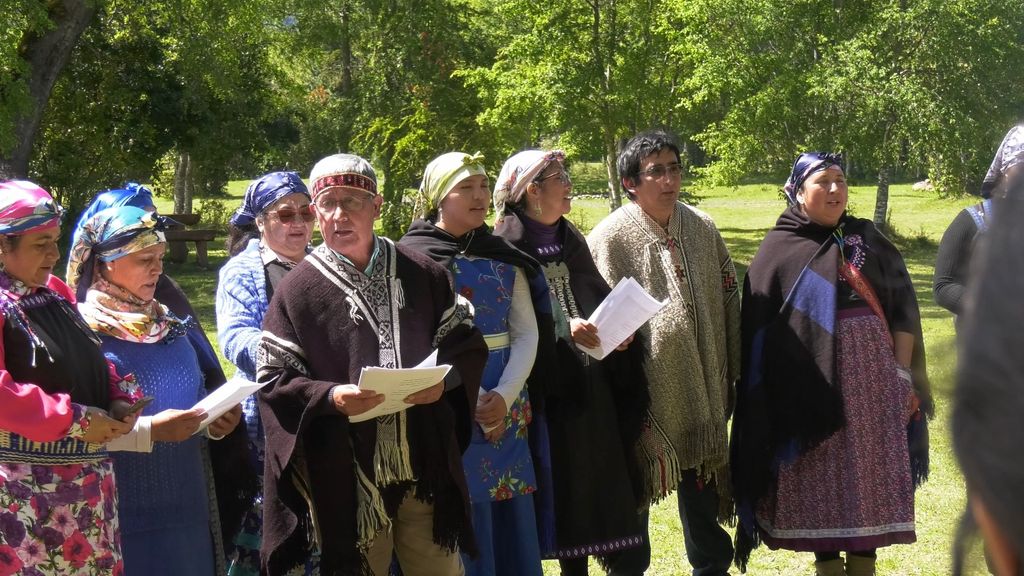 559505165_1265250582314003_116355507340243962_n 559505165_1265250582314003_116355507340243962_n