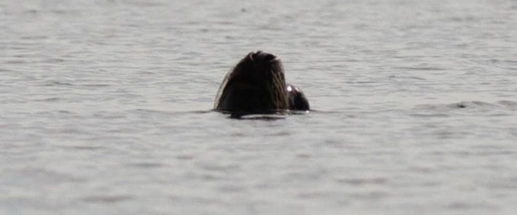 WhatsApp Image 2025-09-24 at 6 WhatsApp Image 2025-09-24 at 6