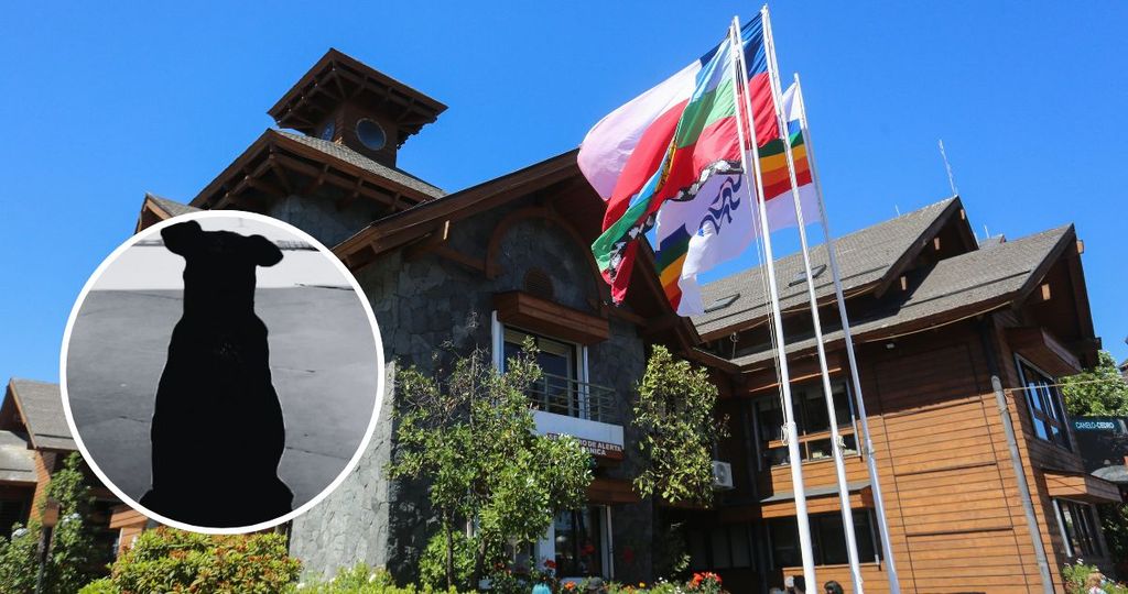 Caso Morita Caso Morita