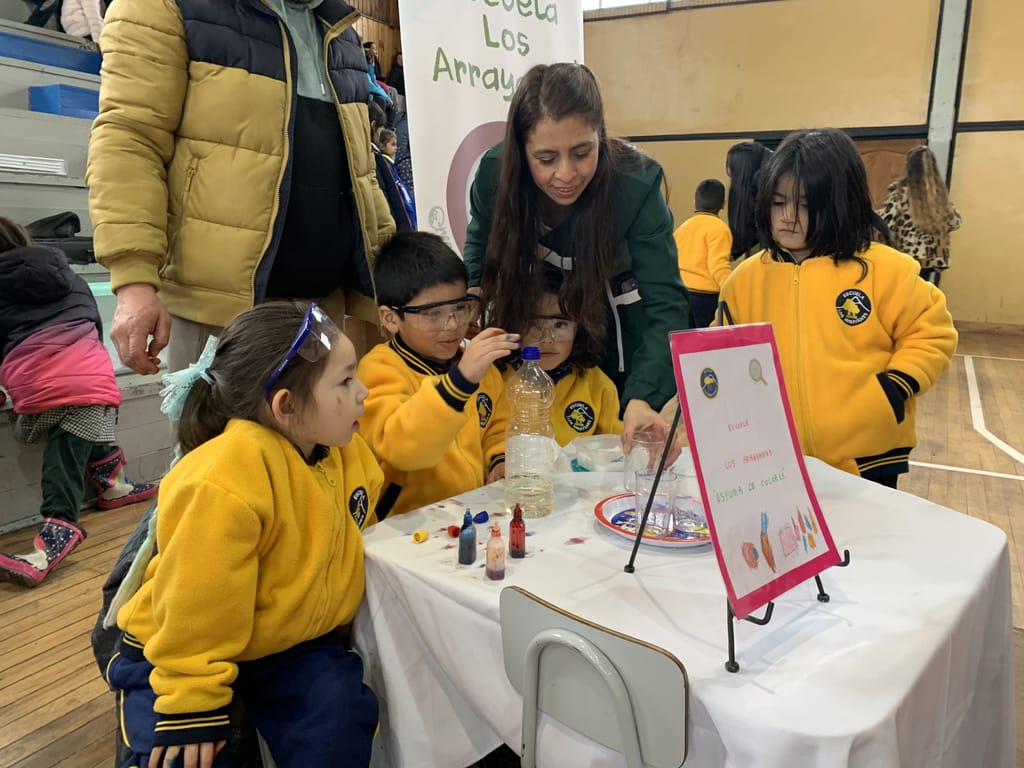 5° FERIA CIENTÍFICA DE EDUCACIÓN PARVULARIA EN PUCÓN 5° FERIA CIENTÍFICA DE EDUCACIÓN PARVULARIA EN PUCÓN