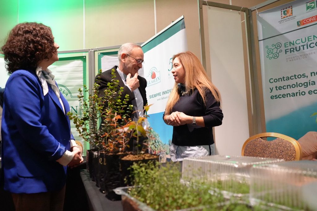 WhatsApp Image 2025-08-19 at 11 WhatsApp Image 2025-08-19 at 11