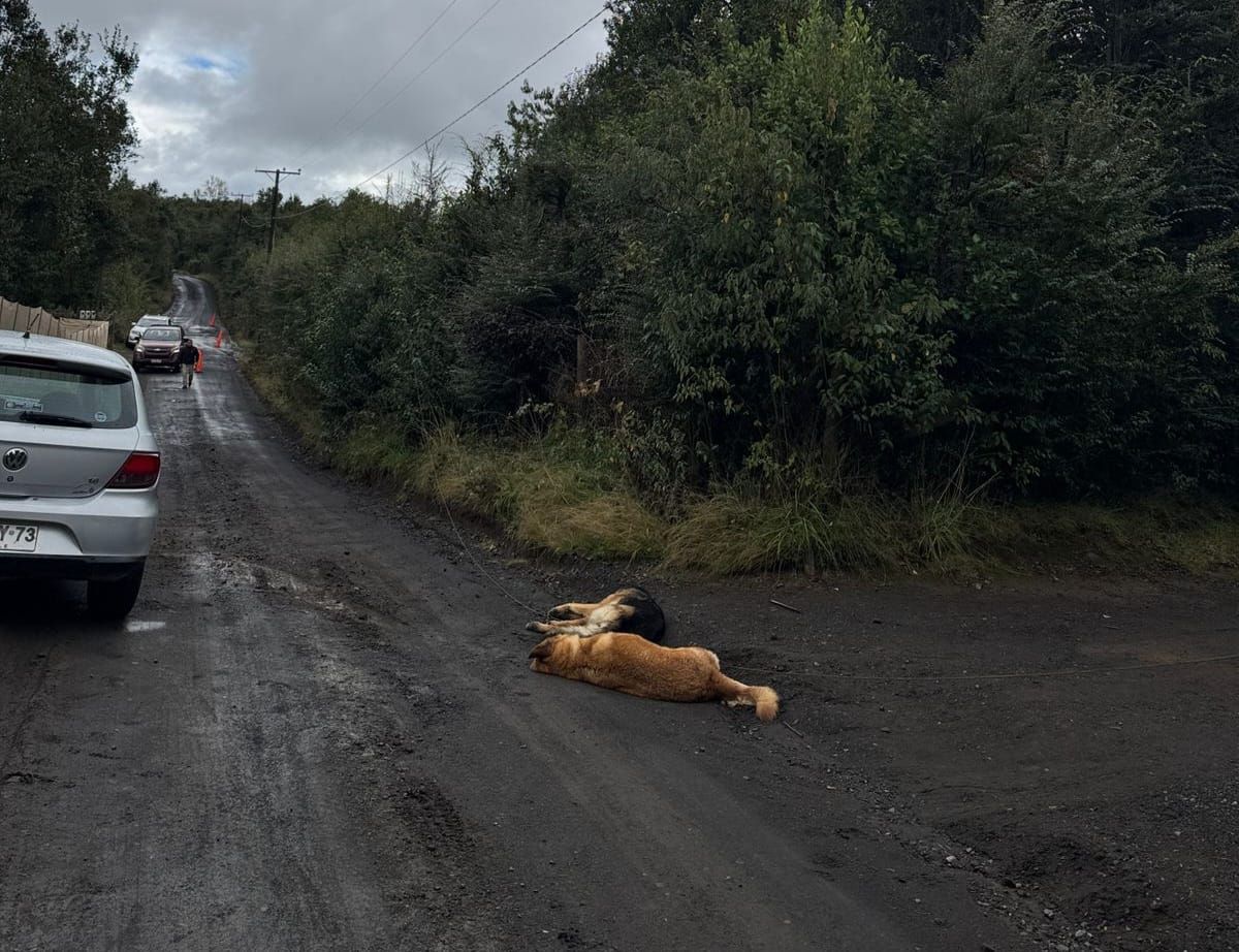 PHOTO-2026-04-29-19-02-19 PHOTO-2026-04-29-19-02-19