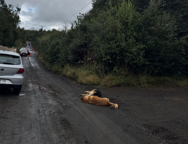 PHOTO-2026-04-29-19-02-19 PHOTO-2026-04-29-19-02-19