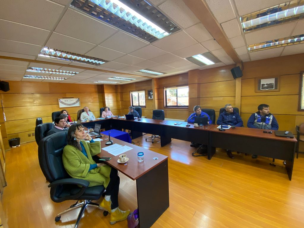 Concejo municipal y expertos Concejo municipal y expertos