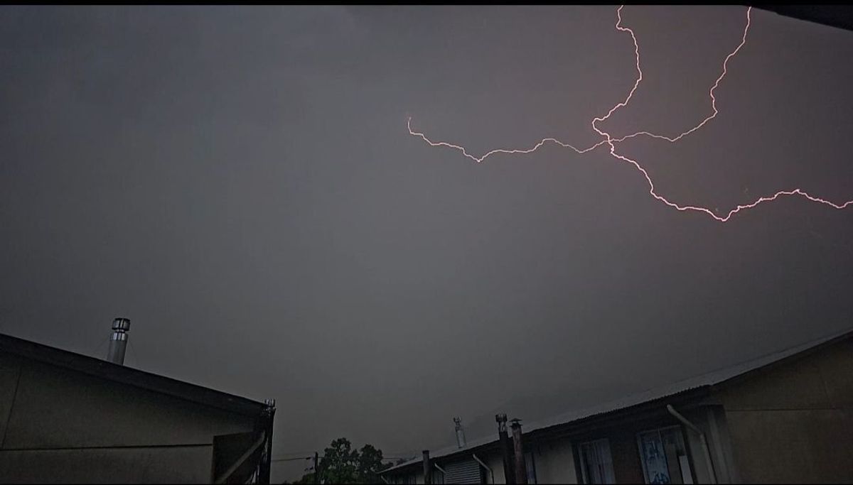 WhatsApp Image 2026-02-11 at 11 WhatsApp Image 2026-02-11 at 11