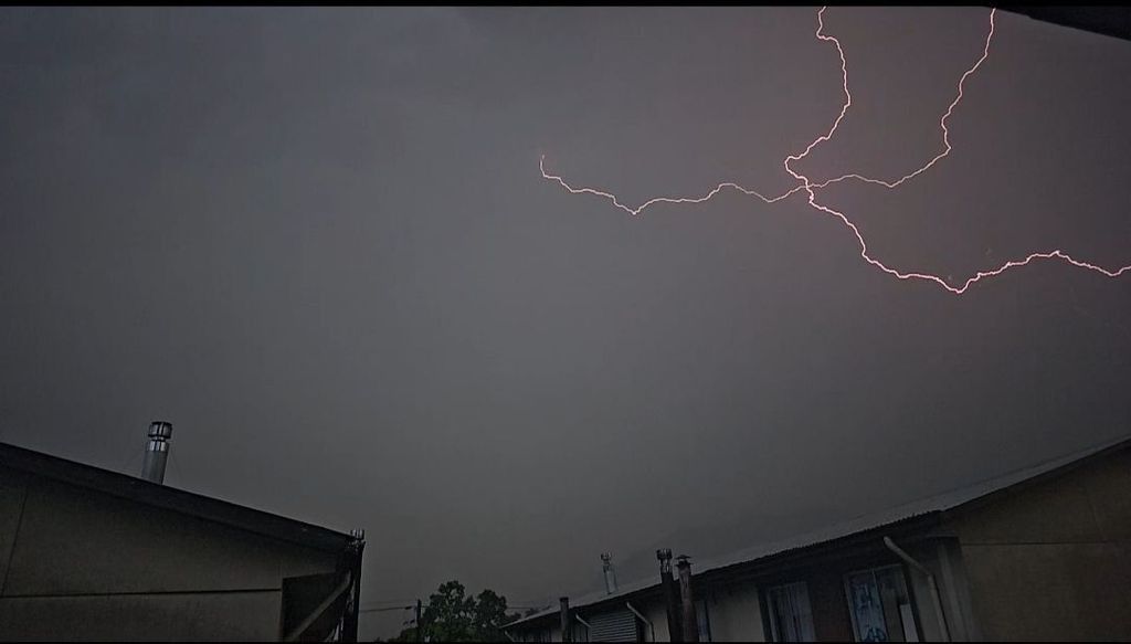 WhatsApp Image 2026-02-11 at 11 WhatsApp Image 2026-02-11 at 11