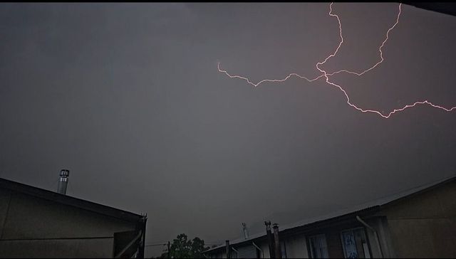 WhatsApp Image 2026-02-11 at 11 WhatsApp Image 2026-02-11 at 11